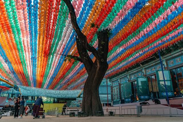 Hundreds of colorful lanterns hang above a tall tree.