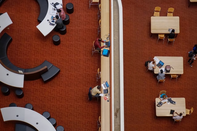 People sit in a library on computers.