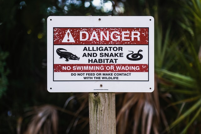A white, red, and black sign warning of alligators and snakes.
