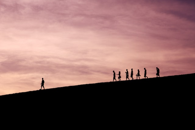 Shadows follow one another down a hill at sunset.