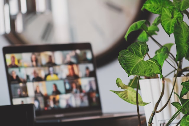 A computer screen with a zoom meeting is blurred out.