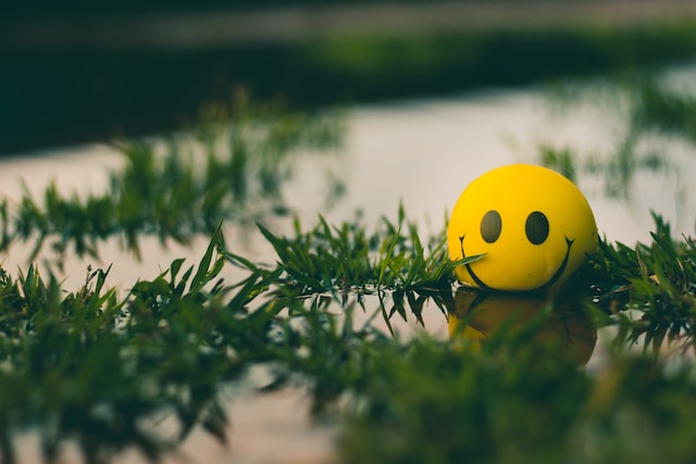A yellow smiley face floats in a puddle with branches.