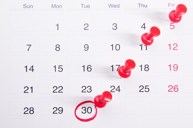 Calendar with pinned dates